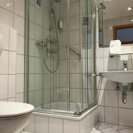 فندق Flair Gruener Baum دوناوشينغن