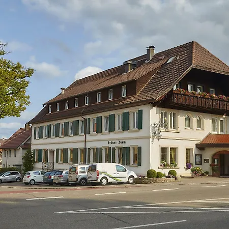 Szálloda Flair Gruener Baum 3*