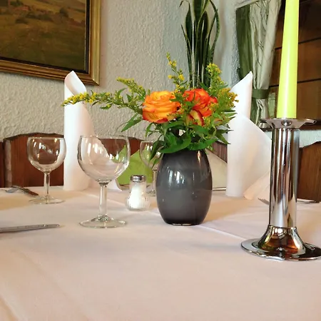 Szálloda Flair Gruener Baum 3*