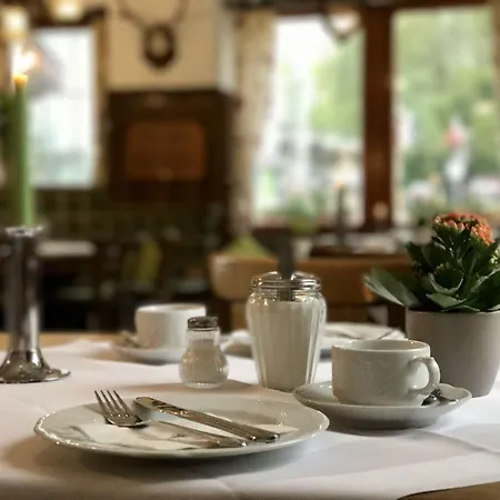 Flair Gruener Baum Donaueschingen