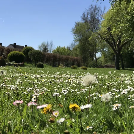 Flair Gruener Baum Donaueschingen