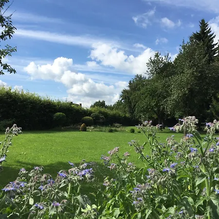 Hotel Flair Grüner Baum 3*