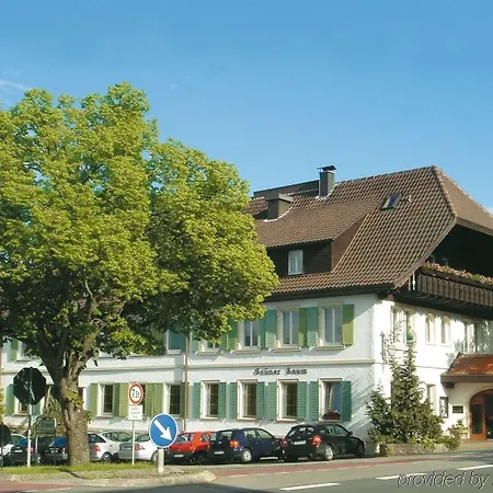 Flair Gruener Baum 3* Donaueschingen