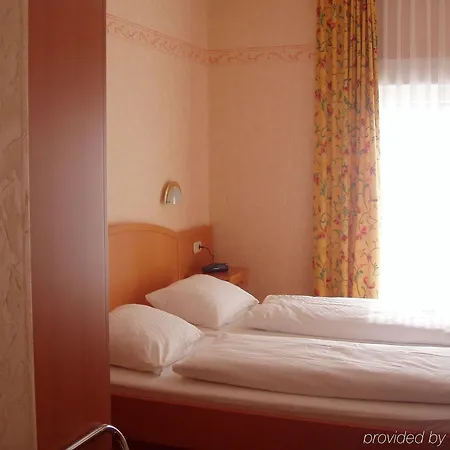 Flair Gruener Baum 3* Donaueschingen