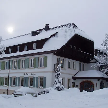 Szálloda Flair Gruener Baum