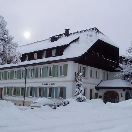 Flair Gruener Baum Szálloda Donaueschingen