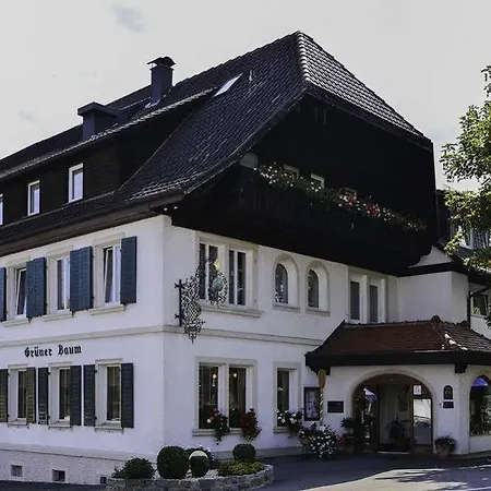 Flair Gruener Baum 3* Donaueschingen